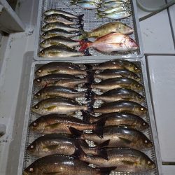 エンペラー 釣果