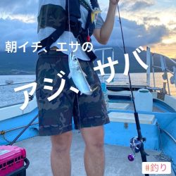 龍神丸(鹿児島) 釣果