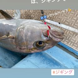 龍神丸(鹿児島) 釣果