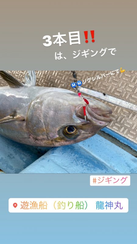 龍神丸(鹿児島) 釣果