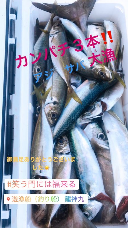 龍神丸(鹿児島) 釣果