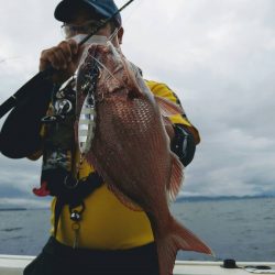光生丸 釣果