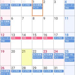 遊漁船 家入 釣果