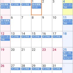 遊漁船 家入 釣果