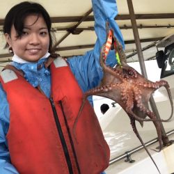 ヤザワ渡船 釣果