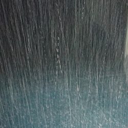 BlueNote Fishing Taxi 釣果