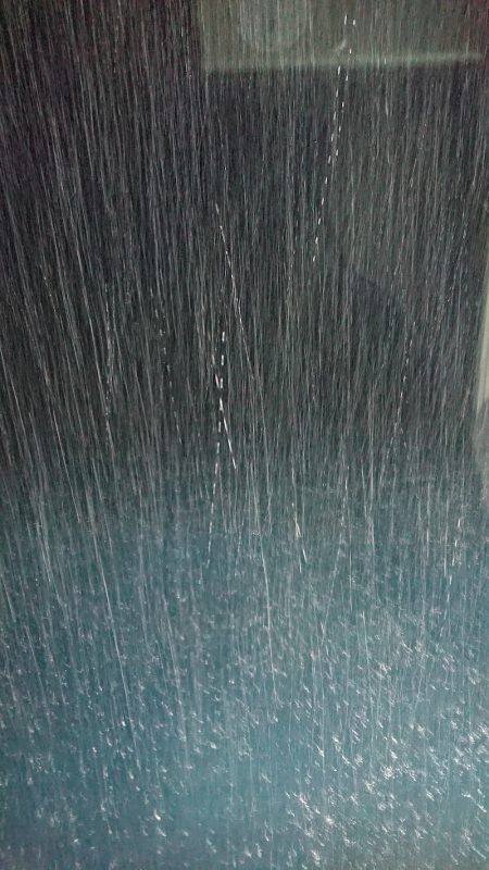 BlueNote Fishing Taxi 釣果