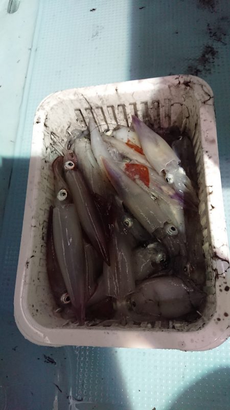 BlueNote Fishing Taxi 釣果