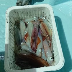 BlueNote Fishing Taxi 釣果