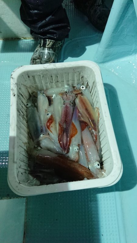 BlueNote Fishing Taxi 釣果