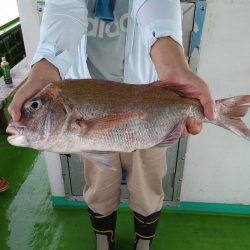 小島丸 釣果
