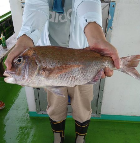 小島丸 釣果