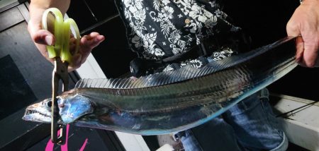 シースナイパー海龍 釣果