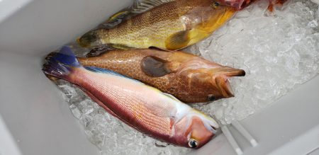 海龍丸(石川) 釣果