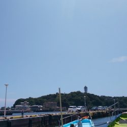 島きち丸 釣果
