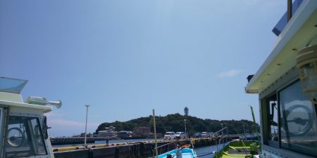 島きち丸 釣果