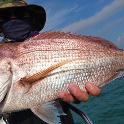 シースナイパー海龍 釣果