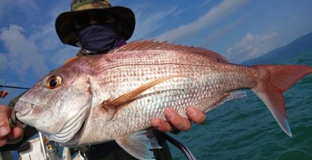 シースナイパー海龍 釣果