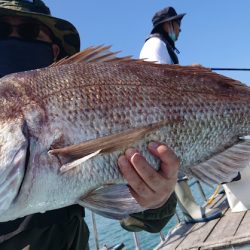 シースナイパー海龍 釣果