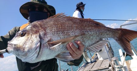 シースナイパー海龍 釣果