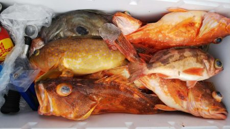 第二龍勢丸 釣果