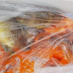 第二龍勢丸 釣果