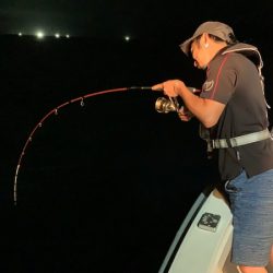 アマテラス 釣果