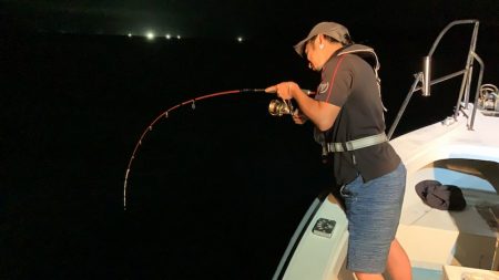 アマテラス 釣果