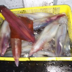 第二龍勢丸 釣果