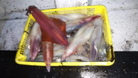 第二龍勢丸 釣果