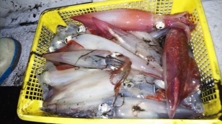 第二龍勢丸 釣果