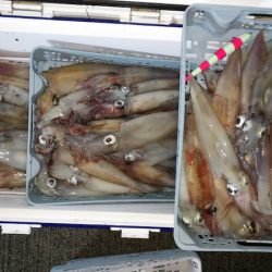 第二龍勢丸 釣果