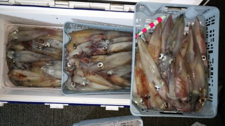 第二龍勢丸 釣果