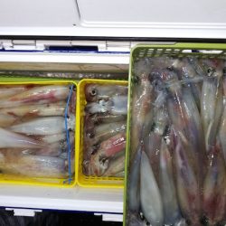 第二龍勢丸 釣果