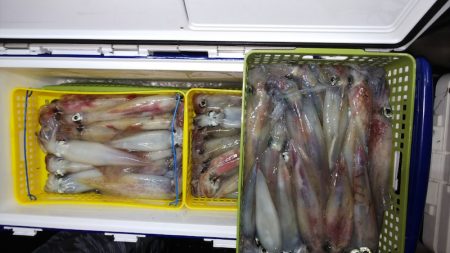 第二龍勢丸 釣果