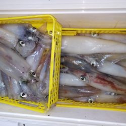 第二龍勢丸 釣果