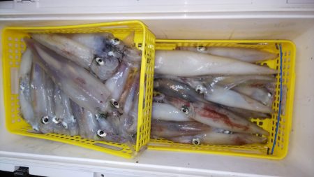 第二龍勢丸 釣果