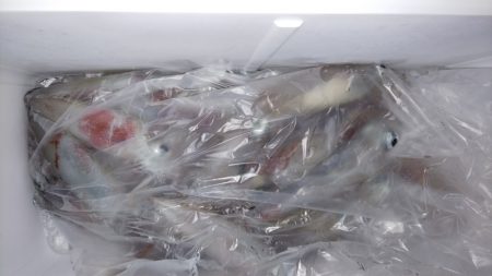 第二龍勢丸 釣果