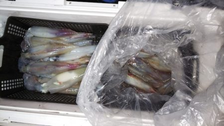 第二龍勢丸 釣果