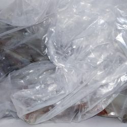 第二龍勢丸 釣果