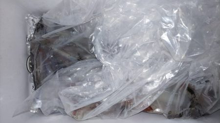 第二龍勢丸 釣果