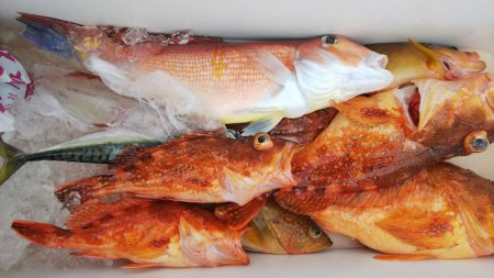 第二龍勢丸 釣果