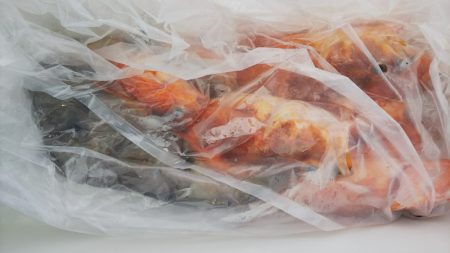 第二龍勢丸 釣果