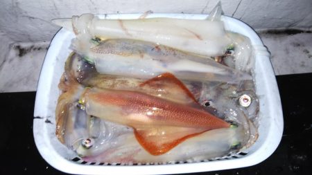 第二龍勢丸 釣果