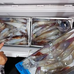 第二龍勢丸 釣果