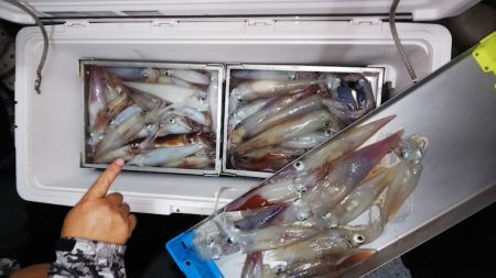 第二龍勢丸 釣果