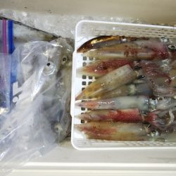 第二龍勢丸 釣果