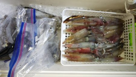 第二龍勢丸 釣果