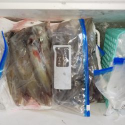 第二龍勢丸 釣果