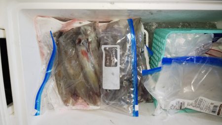 第二龍勢丸 釣果